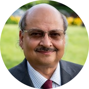 Prof Praveen Kumar