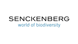 Senckenberg Nature Research Society