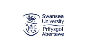 Swansea University